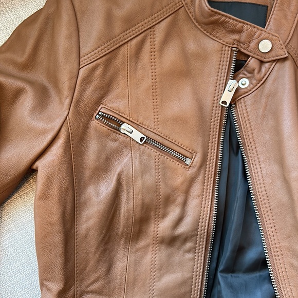 MARC NEW YORK Leather Moto Jacket | Brown Leather Jacket with Hardware Detailing - Picture 6 of 6